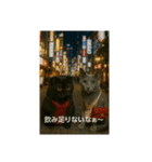 大人な猫の日常（個別スタンプ：22）