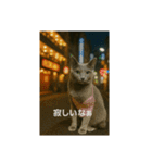 大人な猫の日常（個別スタンプ：24）