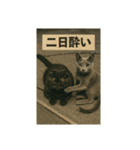大人な猫の日常（個別スタンプ：26）
