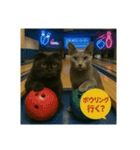 大人な猫の日常（個別スタンプ：28）