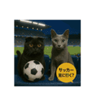 大人な猫の日常（個別スタンプ：32）