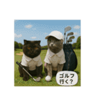 大人な猫の日常（個別スタンプ：36）