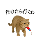 【関西弁】ねこの日常会話で使える関西弁（個別スタンプ：4）