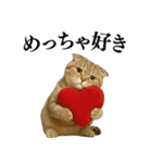 【関西弁】ねこの日常会話で使える関西弁（個別スタンプ：8）
