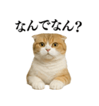 【関西弁】ねこの日常会話で使える関西弁（個別スタンプ：13）