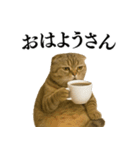 【関西弁】ねこの日常会話で使える関西弁（個別スタンプ：14）