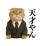 【関西弁】ねこの日常会話で使える関西弁（個別スタンプ：15）