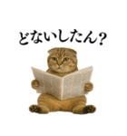 【関西弁】ねこの日常会話で使える関西弁（個別スタンプ：17）