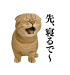 【関西弁】ねこの日常会話で使える関西弁（個別スタンプ：18）