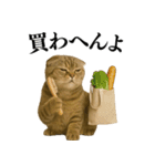 【関西弁】ねこの日常会話で使える関西弁（個別スタンプ：21）