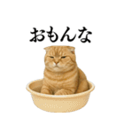 【関西弁】ねこの日常会話で使える関西弁（個別スタンプ：25）