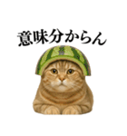 【関西弁】ねこの日常会話で使える関西弁（個別スタンプ：26）