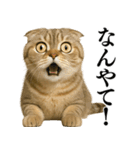 【関西弁】ねこの日常会話で使える関西弁（個別スタンプ：30）