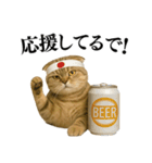 【関西弁】ねこの日常会話で使える関西弁（個別スタンプ：31）