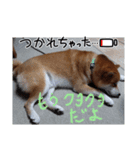 のんびり毎日2（個別スタンプ：1）