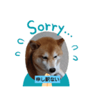 のんびり毎日2（個別スタンプ：2）