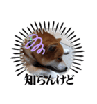 のんびり毎日2（個別スタンプ：4）