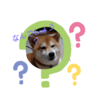 のんびり毎日2（個別スタンプ：5）