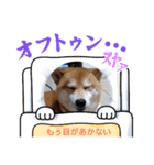 のんびり毎日2（個別スタンプ：6）