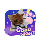 のんびり毎日2（個別スタンプ：7）