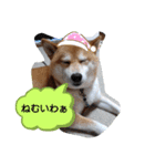 のんびり毎日2（個別スタンプ：8）