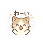 猫の日常使い簡単（個別スタンプ：3）