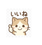 猫の日常使い簡単（個別スタンプ：5）