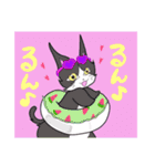 猫のミルクとくるみ3（個別スタンプ：17）