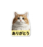 うしこ@02（個別スタンプ：2）