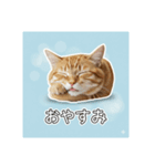 うしこ@02（個別スタンプ：6）