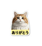 うしこ@02（個別スタンプ：8）