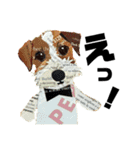 チョキペタビスタンプ6（個別スタンプ：4）