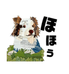 チョキペタビスタンプ6（個別スタンプ：6）