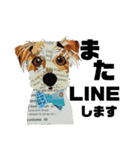 チョキペタビスタンプ6（個別スタンプ：7）