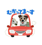 チョキペタビスタンプ6（個別スタンプ：9）