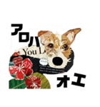 チョキペタビスタンプ6（個別スタンプ：10）