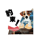 チョキペタビスタンプ6（個別スタンプ：13）