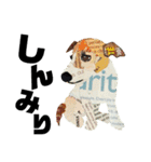 チョキペタビスタンプ6（個別スタンプ：16）