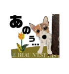 チョキペタビスタンプ6（個別スタンプ：17）