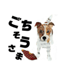 チョキペタビスタンプ6（個別スタンプ：19）