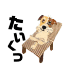 チョキペタビスタンプ6（個別スタンプ：20）