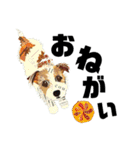 チョキペタビスタンプ6（個別スタンプ：22）