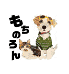 チョキペタビスタンプ6（個別スタンプ：24）