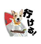 チョキペタビスタンプ6（個別スタンプ：27）