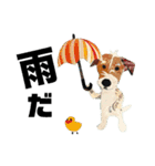 チョキペタビスタンプ6（個別スタンプ：29）