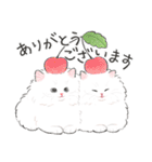 うちの子白猫！(長毛)（個別スタンプ：1）