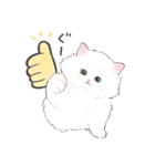 うちの子白猫！(長毛)（個別スタンプ：2）
