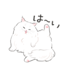 うちの子白猫！(長毛)（個別スタンプ：4）