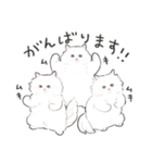 うちの子白猫！(長毛)（個別スタンプ：5）