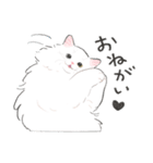 うちの子白猫！(長毛)（個別スタンプ：6）